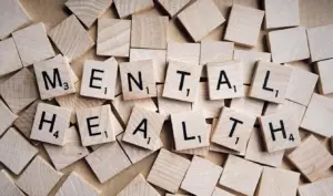 Connecting Beyond the Screen: Supporting Student Mental Health