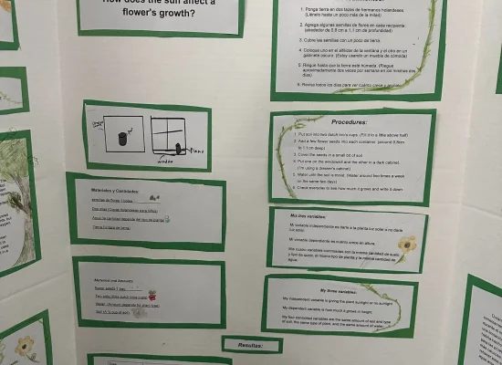 Bilingual Project Board at the 2025 Science Fair